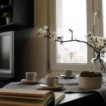 아파트 Vlaic 로고즈니차