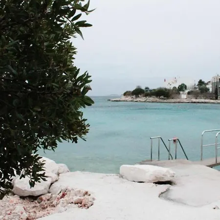 Vlaic * 로고즈니차