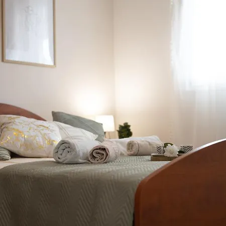 Vlaic 로고즈니차