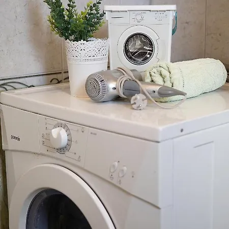 Vlaic * 로고즈니차