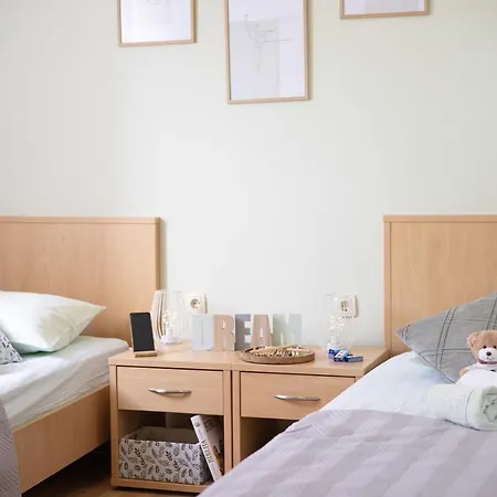 Vlaic 로고즈니차